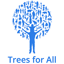 trees for all teambuilding Bristol